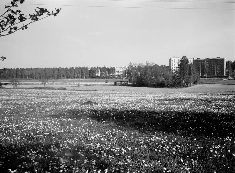 Kadonnutta Helsinkiä: Talin laukkaradasta enää muisto jäljellä