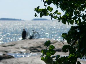 Mustikkamaan kierros