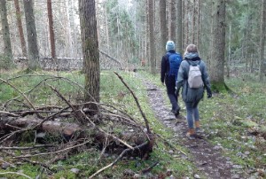 Metsäretki Keskuspuistossa